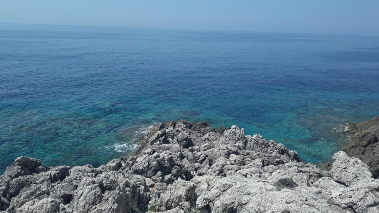 Apartments Rotim, Mljet, Sutmiholjska Babino Polje Экстерьер фото